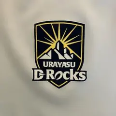 Under Armour URAYASU D-Rocks タンク LGのサムネイル