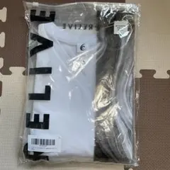 Item thumbnail for item ae5da8d1-f079-4b83-a942-1ad1f1091c62