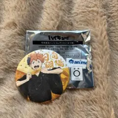 ハイキュー‼︎和紙風缶バッチコレクション 日向翔陽