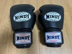 Item thumbnail for item 8b80b963-f4bd-4ade-8fe0-558f566c3679