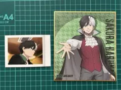 WINDBREAKER/風鈴高校 桜遥/ミニ色紙＆ぱしゃこれ2点セット