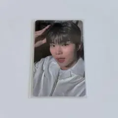 ゴヌク 犬 トレカ