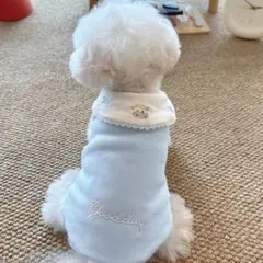 Item thumbnail for item 1b5b989c-6a1e-4e96-b755-20e2bcd2ebed