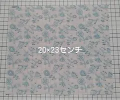 Item thumbnail for item 215a28f2-c258-4537-a811-0b9f1e5e79a4