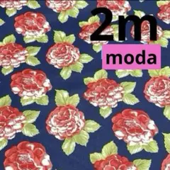 ★USA★moda★花柄★ネイビー★1枚限り★
