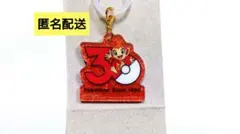 【匿名配送】ポケモン　ポケチャーム　30周年ロゴマスコット　ヒコザル
