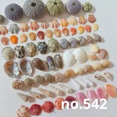 Item thumbnail for item 4b2c4cd0-9ec2-4f71-ba2c-796b8df8c670