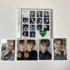 ディノ　消費期限　トレカ　アルバム　セット