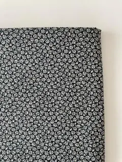 1.2m C&Sリトルマーガレット