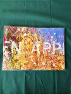 Mrs. GREEN APPLE タオル