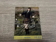 Item thumbnail for item 00575391-186b-425e-a07b-fb095610bbb1