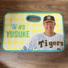 阪神タイガース 梅野隆太郎選手 バック＆レジャークッション - メルカリ
