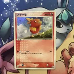 ポケパークのアチャモ PCG ポケパークプレミアムファイル「フォレスト