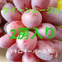 ☆朝採り農家直送☆クイーンルージュ☆コンパスト発送☆1Kg☆4箱限定