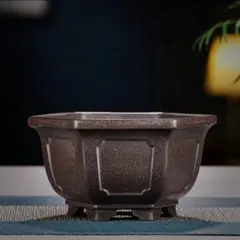 紫砂鉢 多肉菖蒲盆栽 植木鉢 小品盆栽鉢 大品盆栽鉢