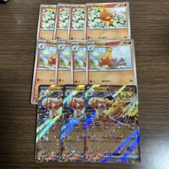 バシャーモ ex たぎるとうし　進化ライン　セット　11枚