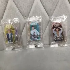 SnowManお守りキーホルダー 9個セット　CD購入特典