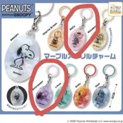 PEANUTS SNOOPY マーブルアクリルチャーム　サリー　シュローダー