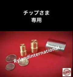 チップさま専用