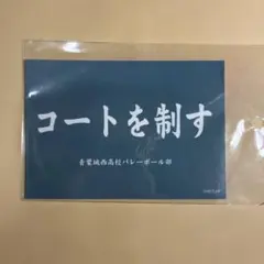 オンエア！ 辺見宙 浮間志朗 青柳帝 ブロマイド 缶バッジ - メルカリ