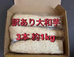 爆裂！ 訳ありすぎて滅！大和芋 箱込み 約1キロのサムネイル