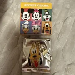 ディズニーストア　シークレットチャーム　プルート