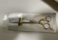 Item thumbnail for item 30180e64-f8da-4806-b71e-ae43a6f0da68