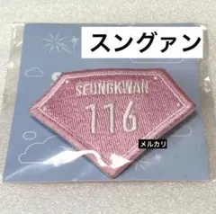 SEVENTEEN スングァン ケレン ワッペン