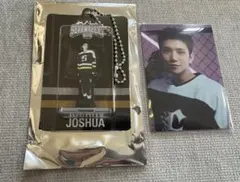 25 SEVENTEEN’s HOME アクキー ・トレカ ジョシュア