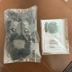 2025年最新】plave ハミン ぬいぐるみの人気アイテム - メルカリ