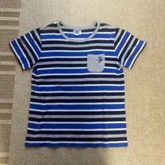 J.PRESSストライプデザイン Tシャツ 140サイズ