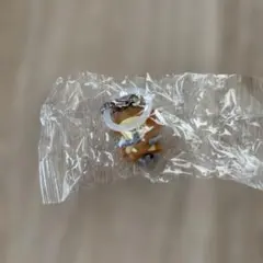 0825様 リクエスト 2点 まとめ商品