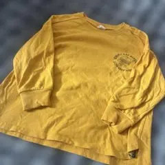 Item thumbnail for item 681a6925-715a-48ca-93ea-b5710b6e1ea7