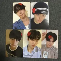 ONEPACT fanplee 5枚セット