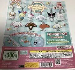 サンリオキャラクターズオールスターズ　めじるしアクセサリー　ガチャ台紙