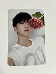 ホシ トレカ SEVENTEEN BEST ALBUM DEAR