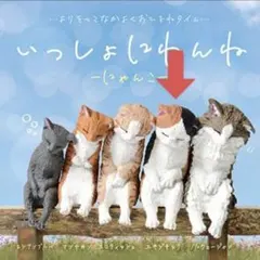 2026年最新】猫ニャンぼーの人気アイテム - メルカリ