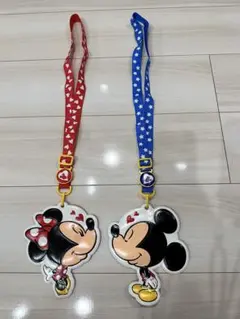 東京ディズニーリゾート パスケース ペア セット ミッキー ミニー チケット