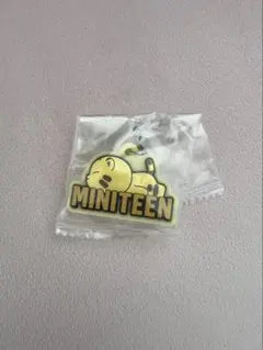 SEVENTEEN MINITEEN めじるしアクセサリー ホシ