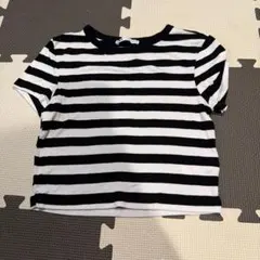 ZARA 半袖 クロップドTシャツ M 白黒ストライプ