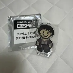 BUDDiiS FUMINORI COSMIIC ランダム8ビットアクキー