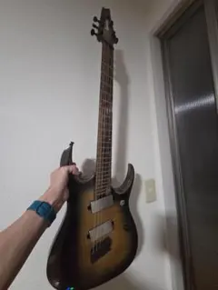 Ibanez Axion Label RGD61ALMS - メルカリ