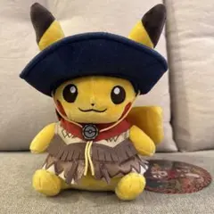 あ*︎様 ピカチュウ ぬいぐるみ Run Run! Desert