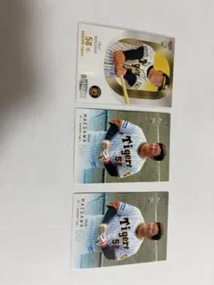 Item thumbnail for item ac5b9400-b37b-4667-97d7-4232722b0b34