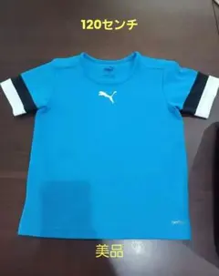 PUMAプーマ 青 半袖 Tシャツ 120