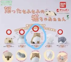 みてクレヨンー様専用ページ