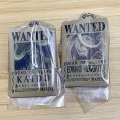 ONEPIECE ワンピース カードゲーム メタルチャーム カイドウ 白ひげ