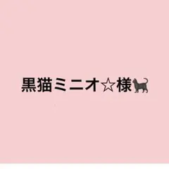 【黒猫ミニオ☆様】細アクリルコード