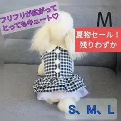 【M】定価1380円　犬の服　ブルーチェックにお花のワンポイント　フリルスカート