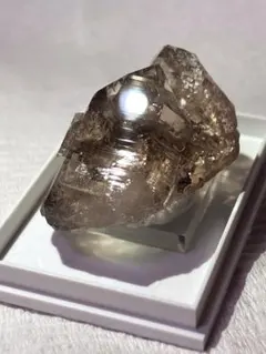 2026年最新】スイススモーキーの人気アイテム - メルカリ